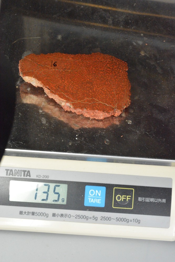 Orange Agatized Dinosaur Bone, New Mexico, 135 grams