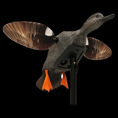 Mojo Elite Series Gadwall Decoy