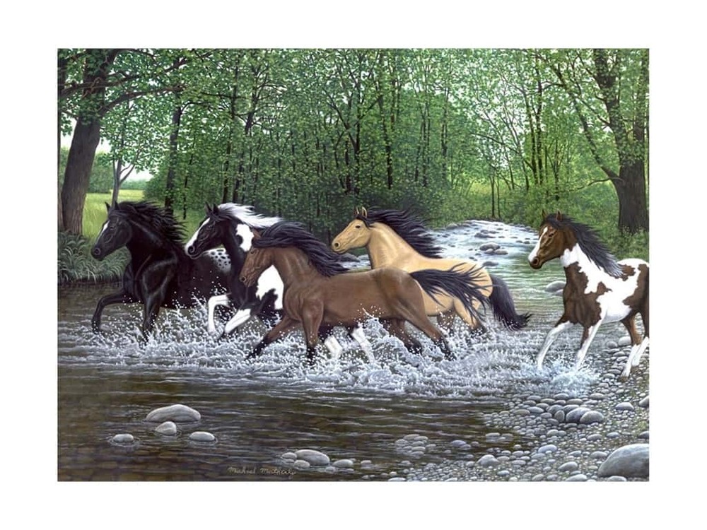 Paint by Number Free Spirits