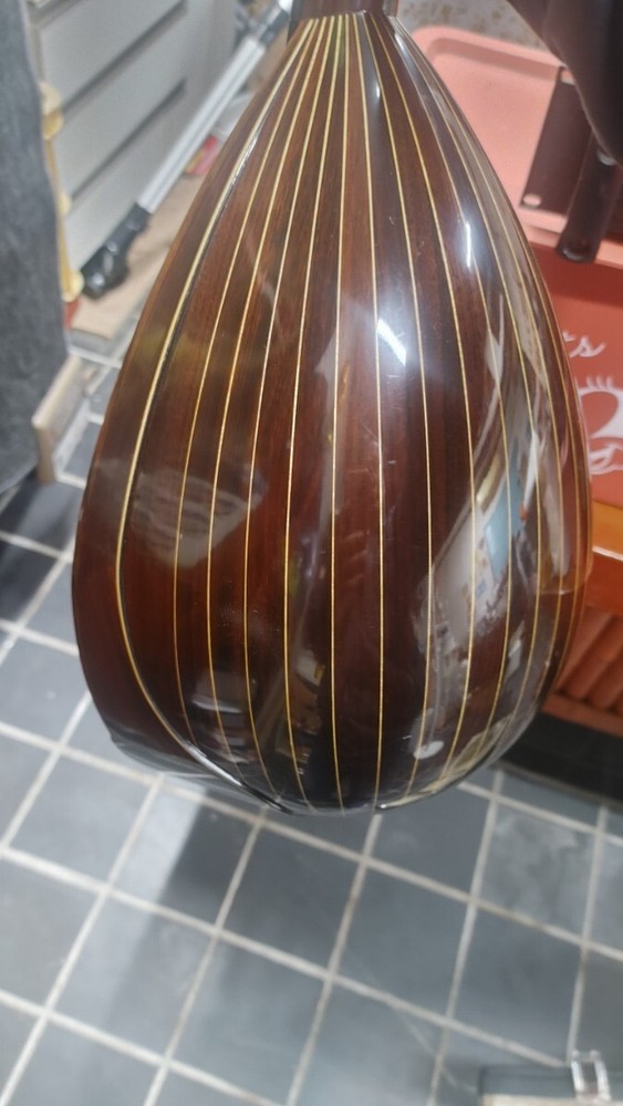 Mandolin ikegaku stringed instrument with case
