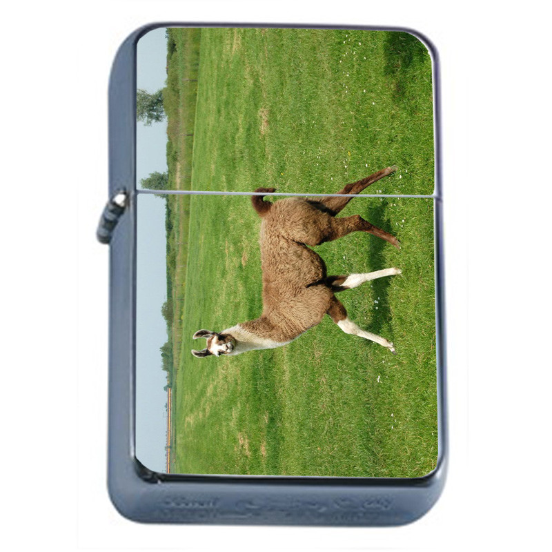 Llamas D6 Flip Top Oil Lighter Wind Resistant