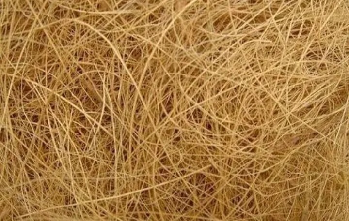 New Ceylon coconut fiber 50g