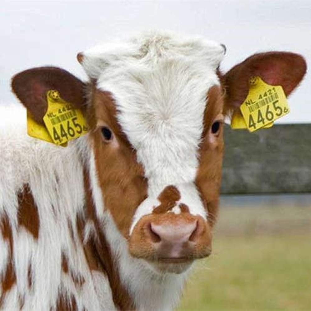 High-Quality Plastic Ear Tags for Cattle, Sheep & Hogs - 001-100 Numbered Set