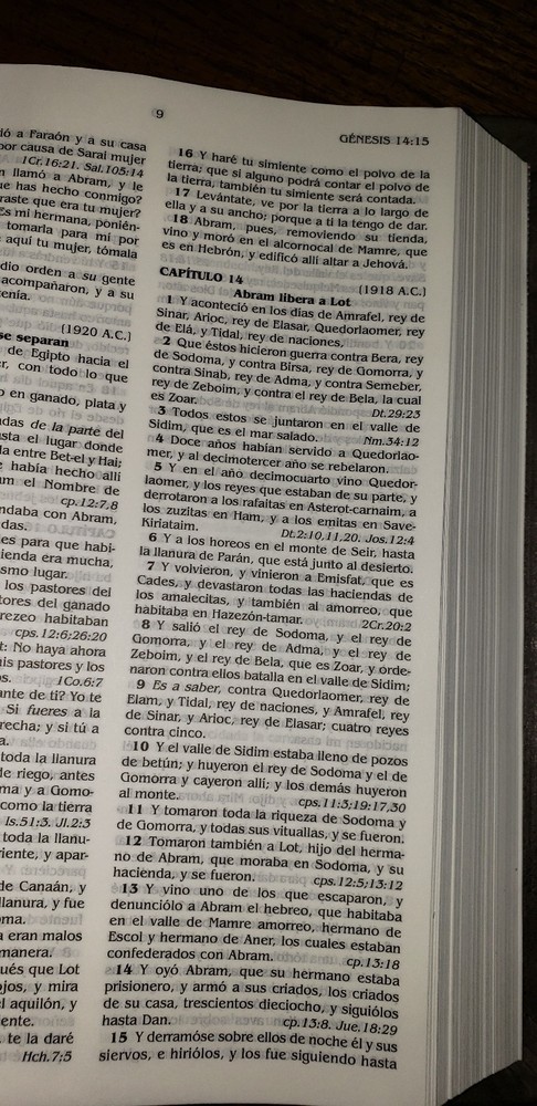 La Santa Biblia rebound Cowhide Spanish