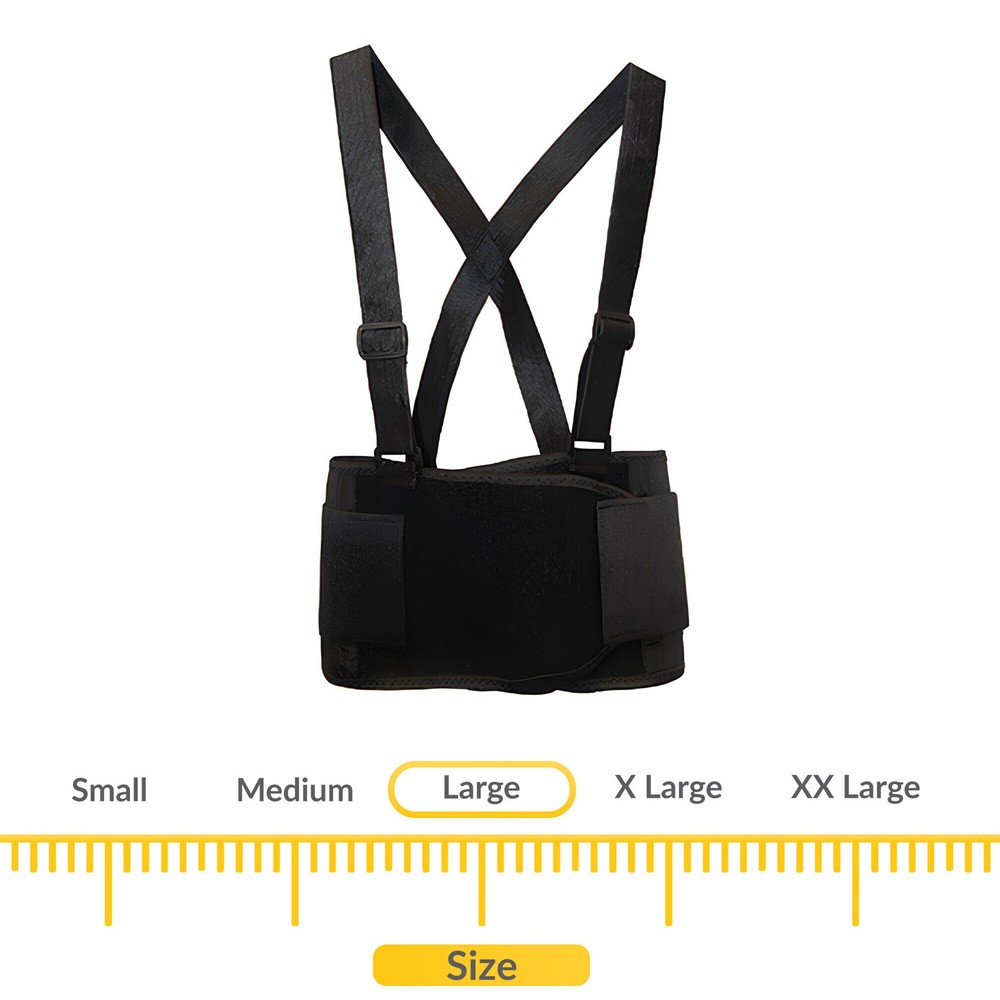 Brixwell QKPV-001 Back Support Large Large