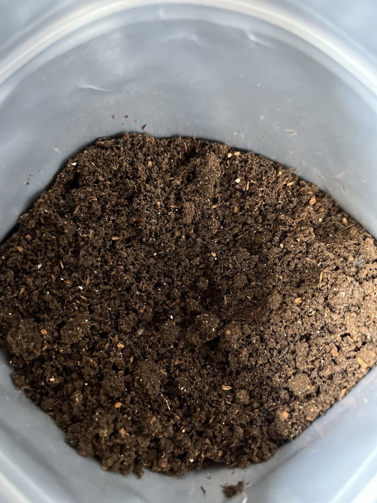 Worm Castings