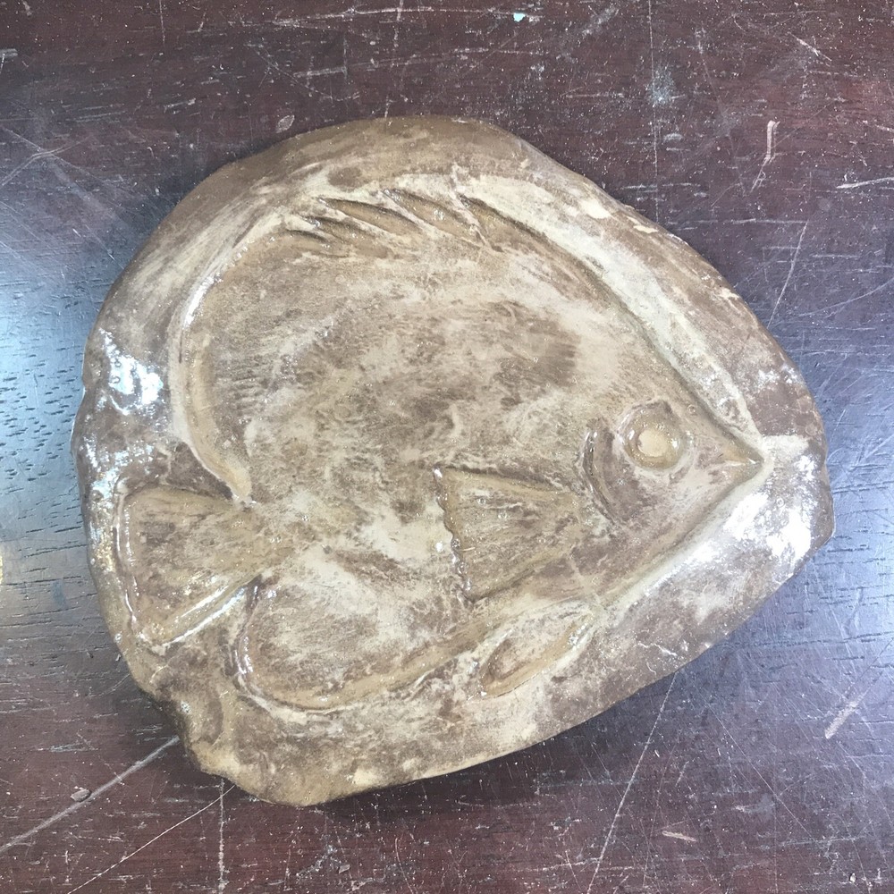 Fossil Fish Fossil