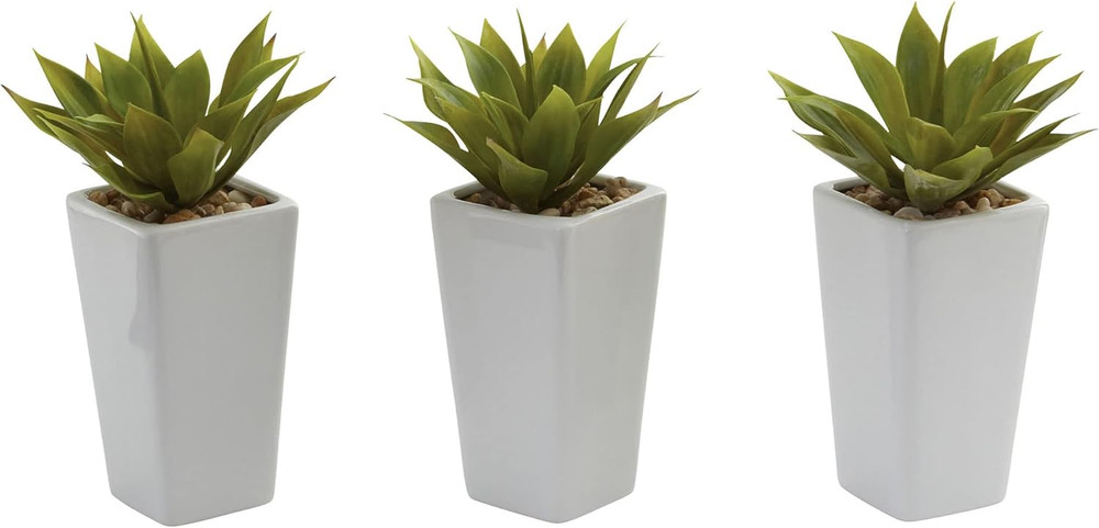 Mini Agave with Planter (Set of 3) White