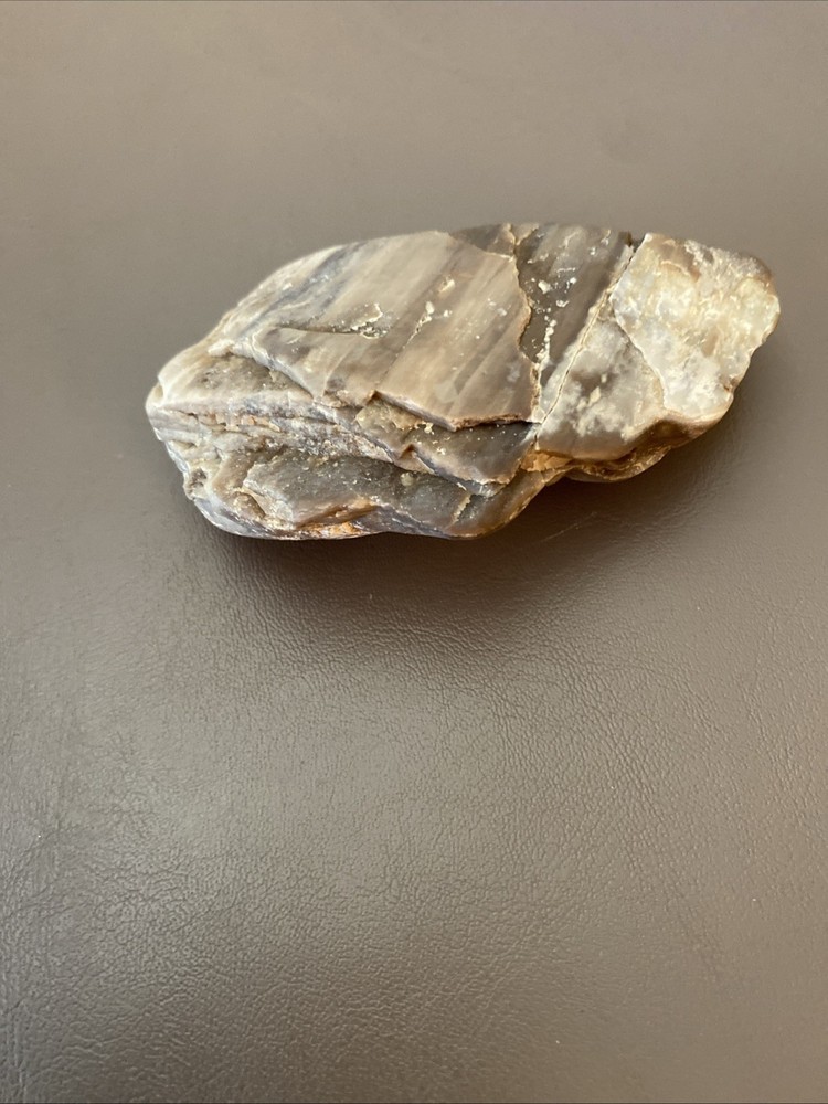 Petrified Wood