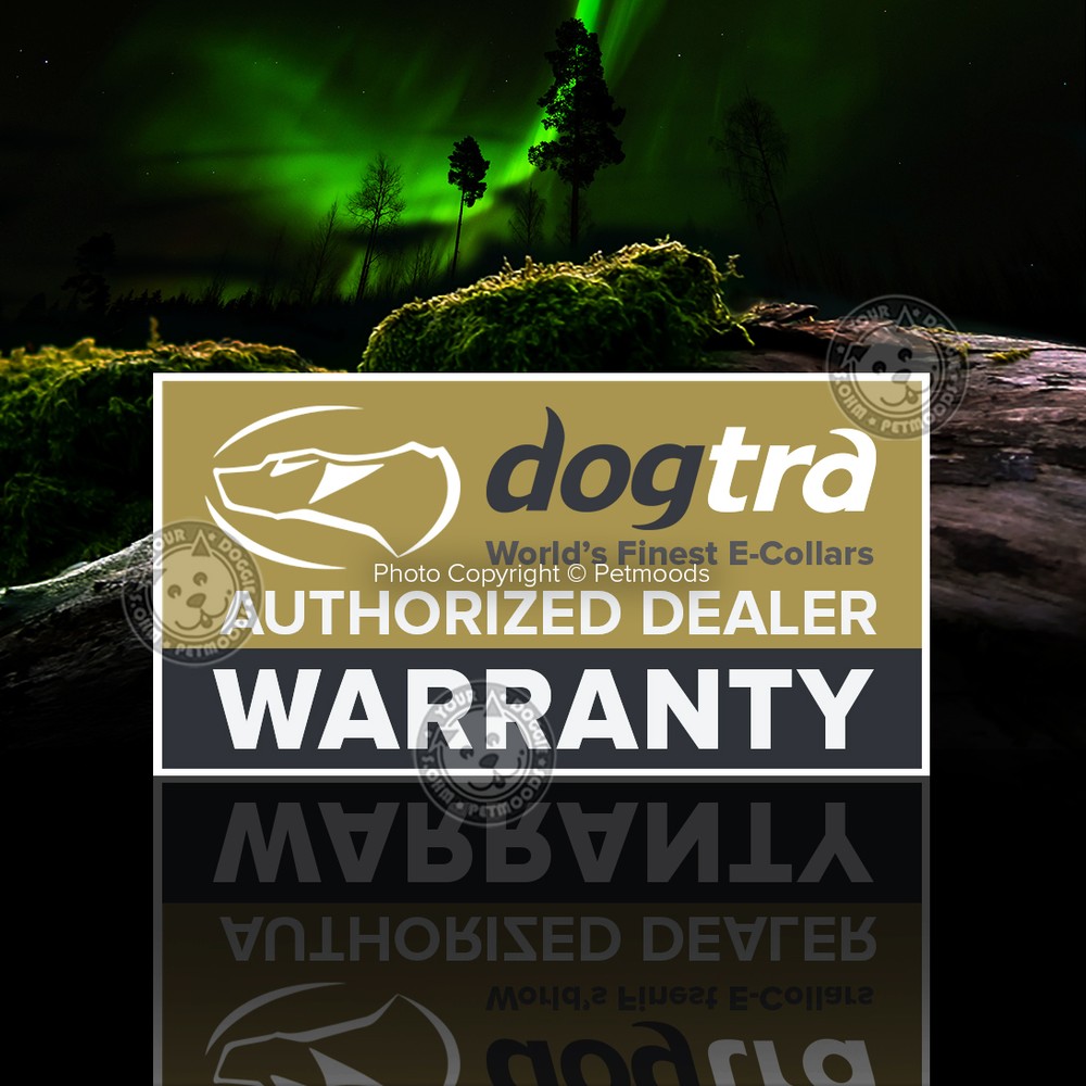 Dogtra EDGE RT Expandable 1-Mile Remote Training Collar Waterproof System