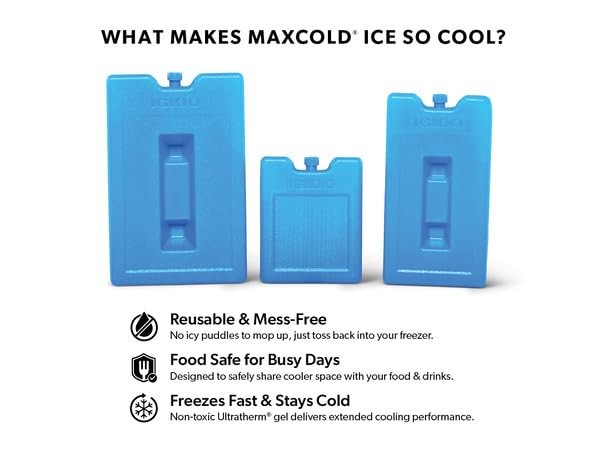 Reusable Ice Packs for Coolers - Igloo Maxcold Medium 2 Pack