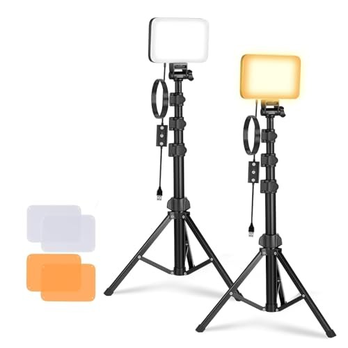 Basics 2 Pack LED Video Light Panel Lighting BP66 (2 Pack w/ Stands & Filters)