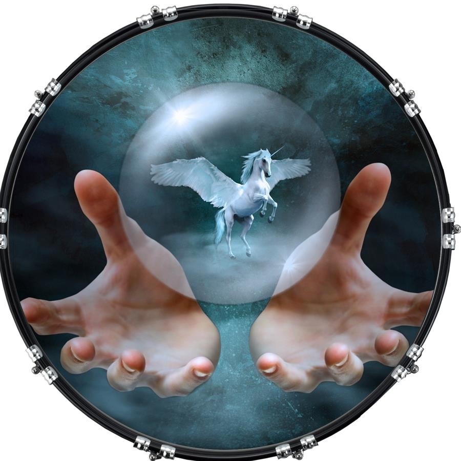 22" Custom Bass Kick Drum Front Head Graphic Graphical Pegasus Release