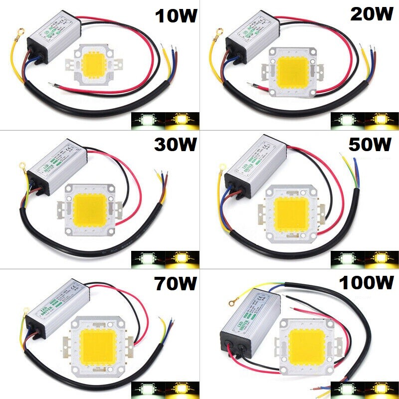 LED Driver + COB Chip 100W 50W 30W 20W 10W Power Supply Transformer Bulb Lights