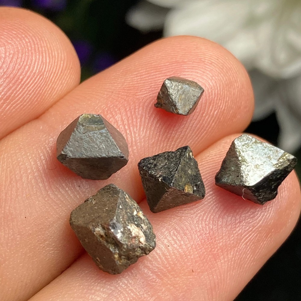 Magnetite Crystals