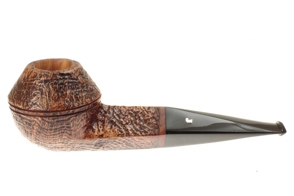 Ser Jacopo S2 (B) Maxima Maxima - Straight Rhodesian