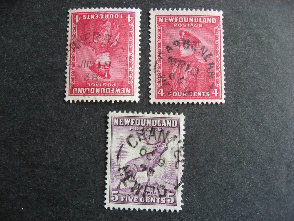 Newfoundland 3 split ring socked on the nose cancels, check them out!
