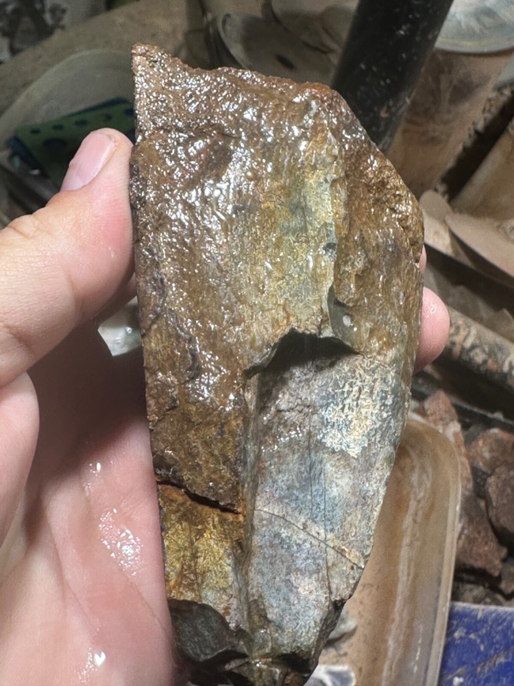 Dinosaur gem bone rough chunk.