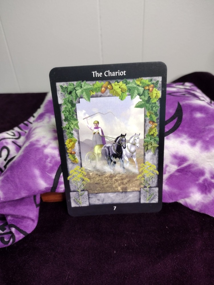 Sacred Circle Tarot -- Cards only!