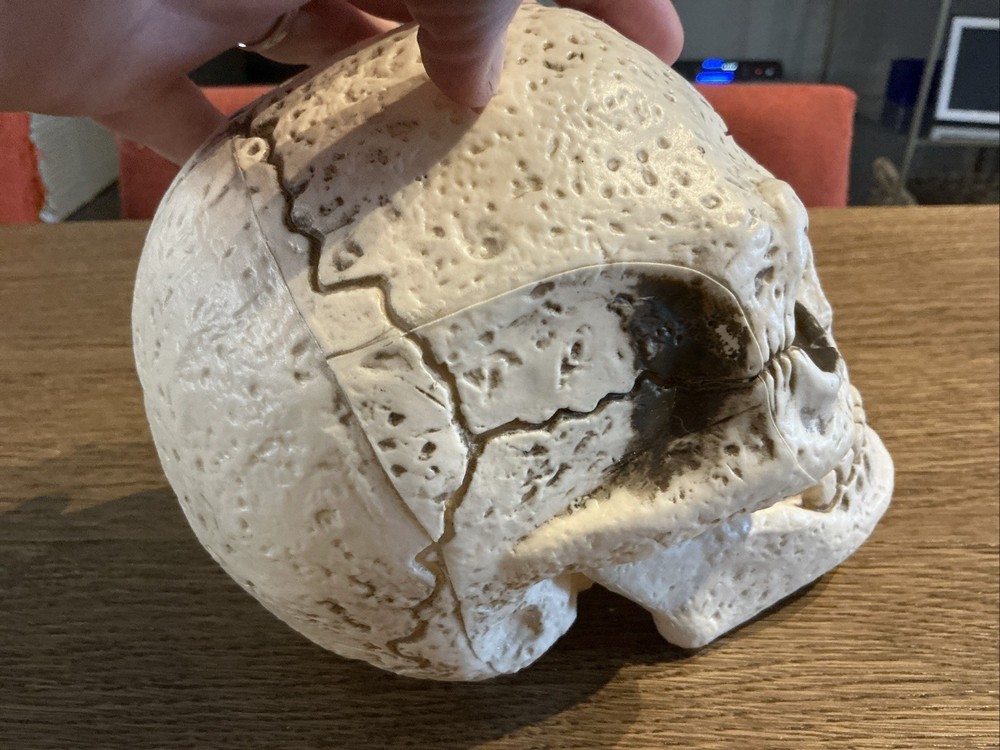 Skull Figurine Halloween Decor Rustic Look
