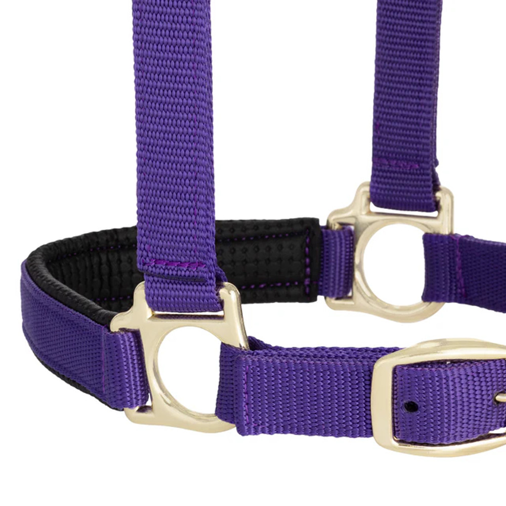 35-6075-PU Weaver Leather Padded Breakaway Adjustable Snap Halter - Solid Purple
