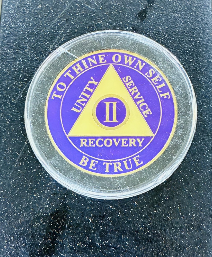 Alcoholics Anonymous 2 Year AA Medallion Token Chip Coin