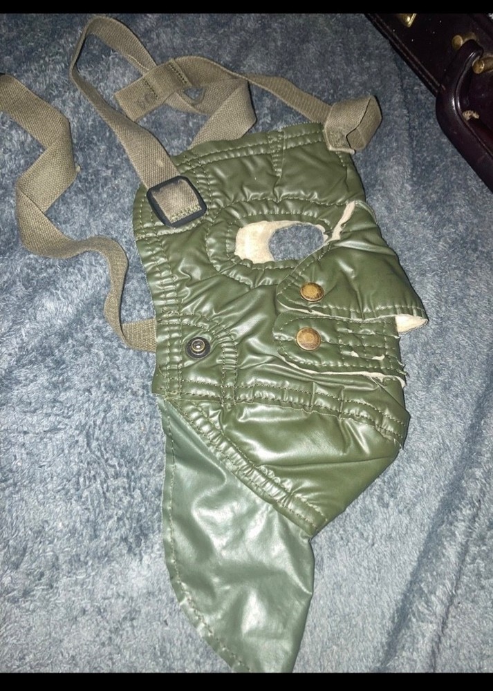 Subzero Weather Military Mask