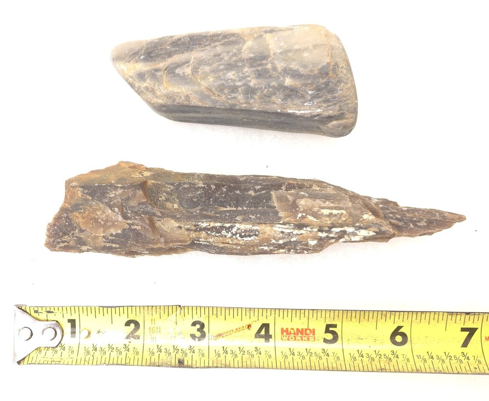 Beautiful Assorted Fossils Petrified Wood
