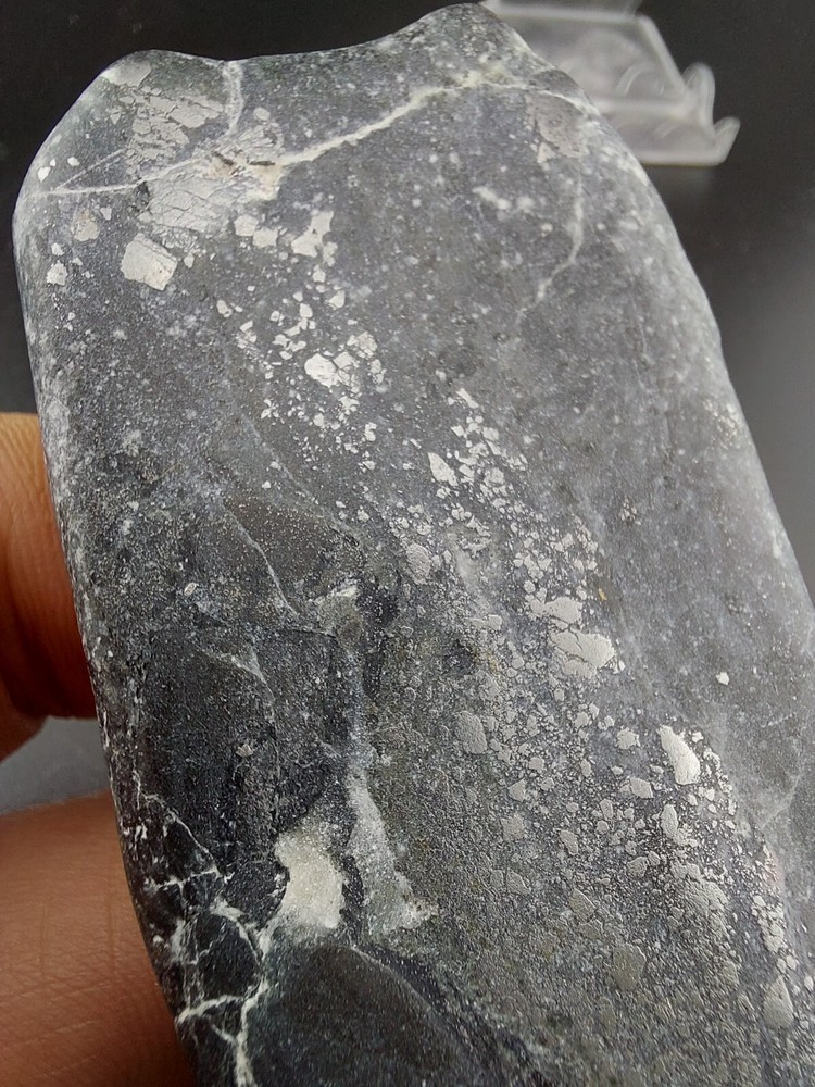 Silver Specimen