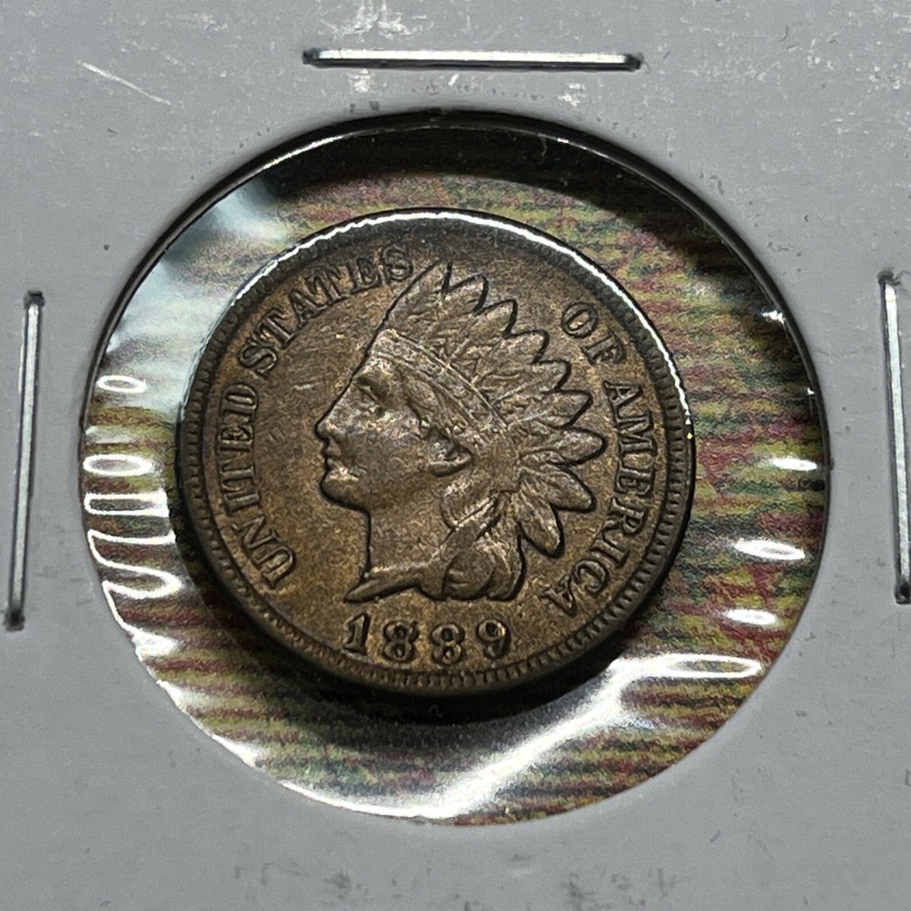 1889 Indian Head Cent Copper Coin Collection