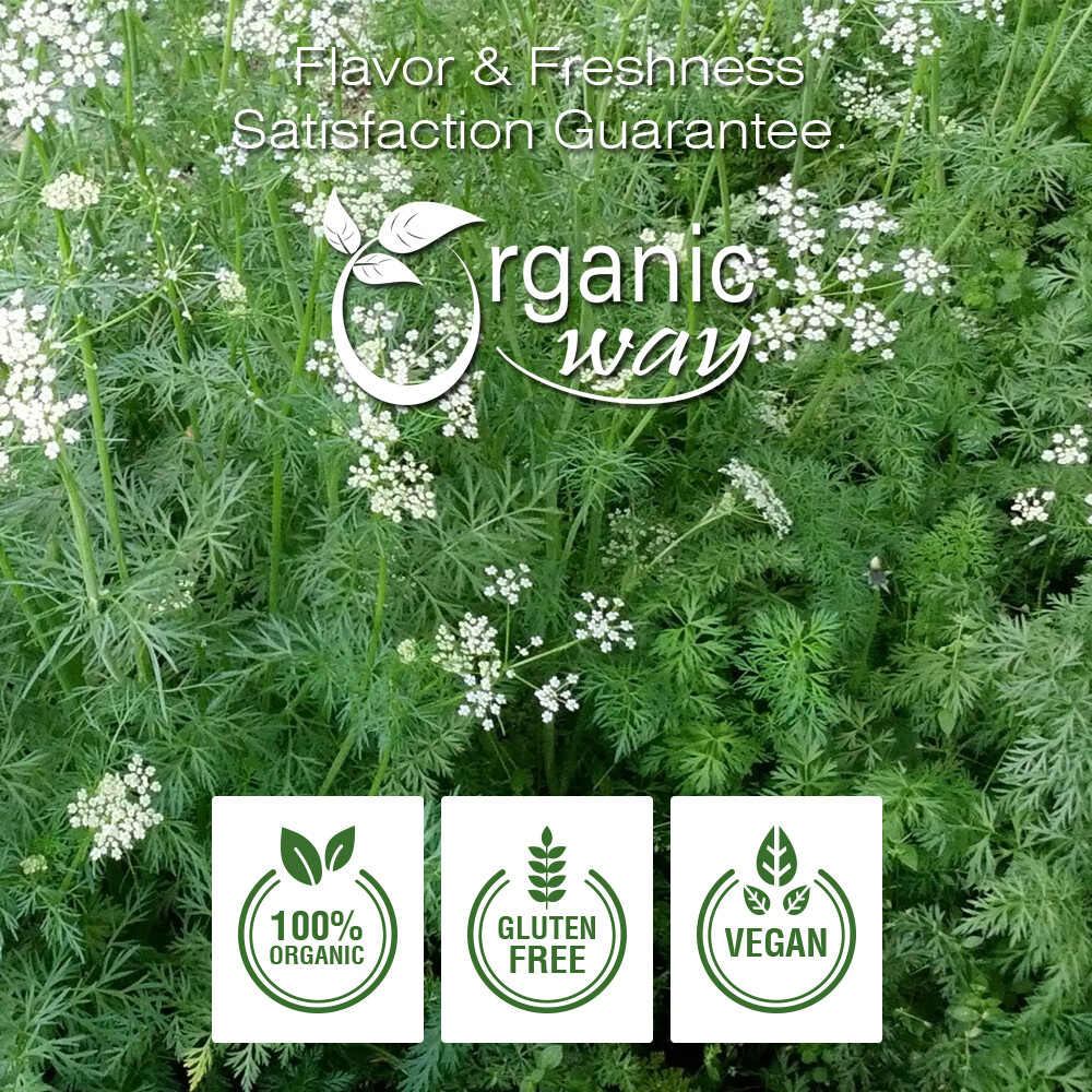 Cumin Seed Powder