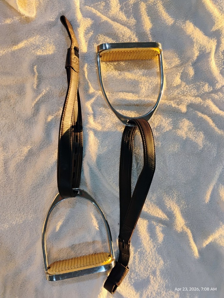 Collegiate Graduate CC/jump 17 in saddle