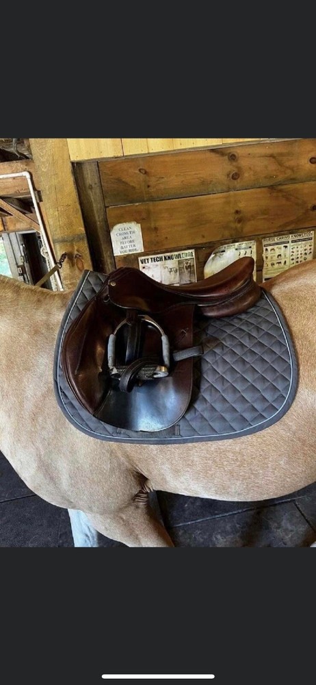 Dover Circuit 17” Make An Offer!!!