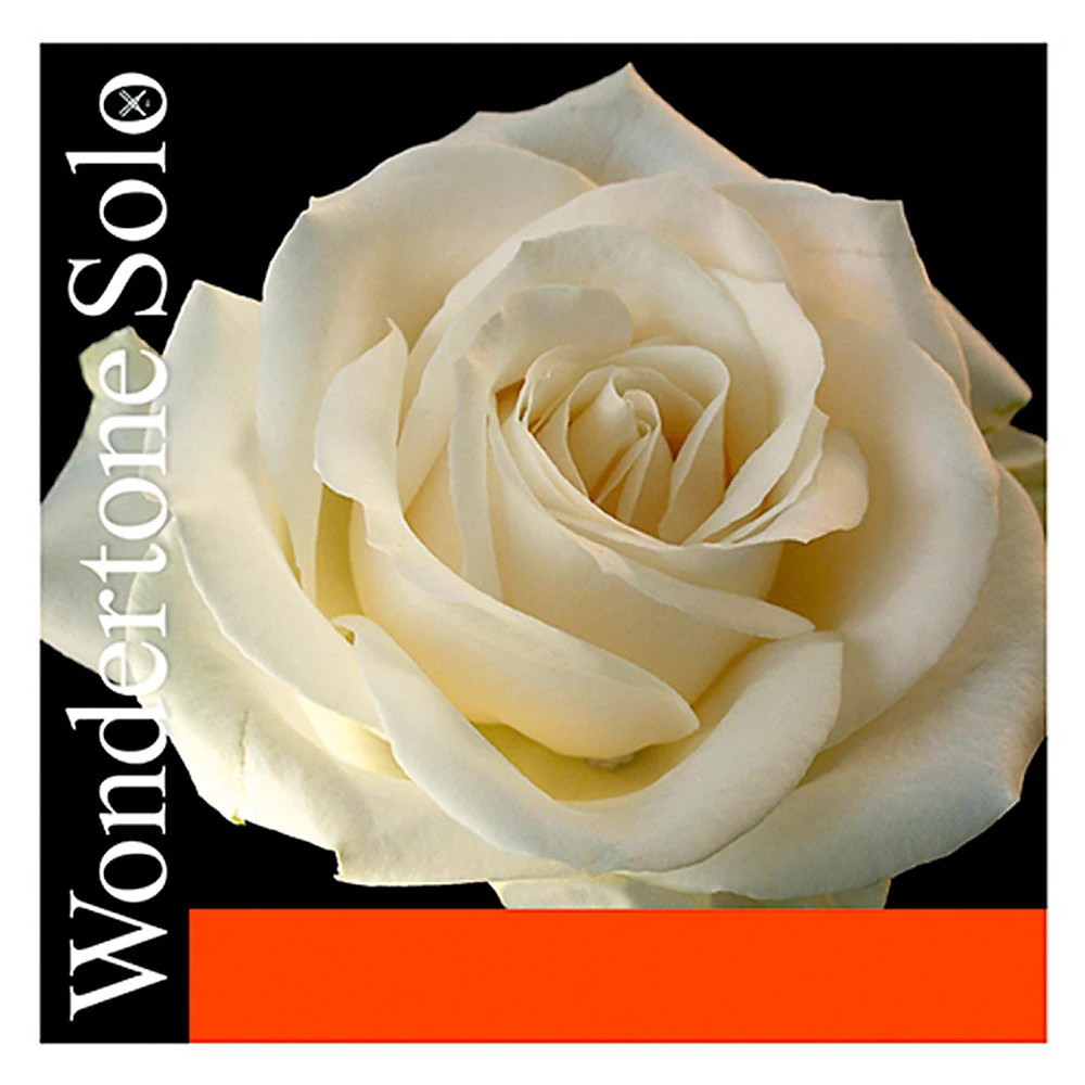 Wondertone Solo Series Violin String Set