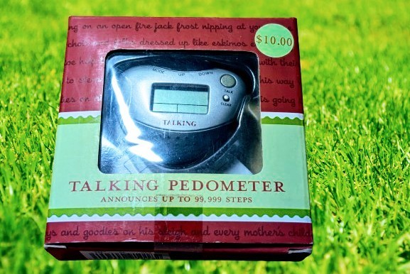 Talking Pedometer