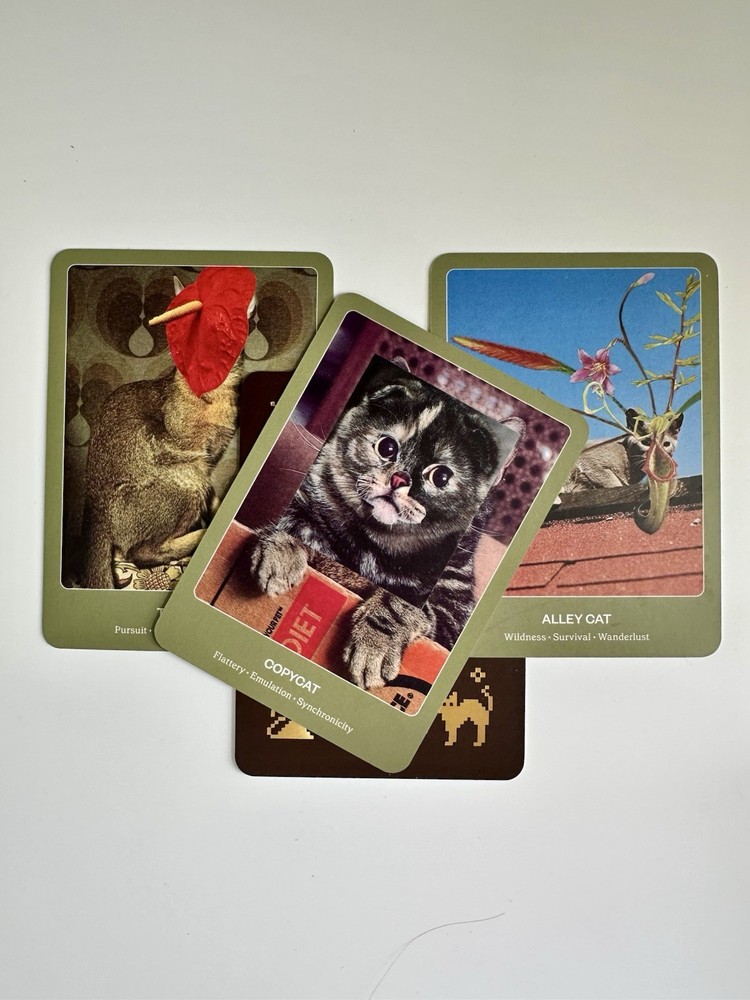 The Cat Oracle 33 Card Deck and Guidebook for Divination