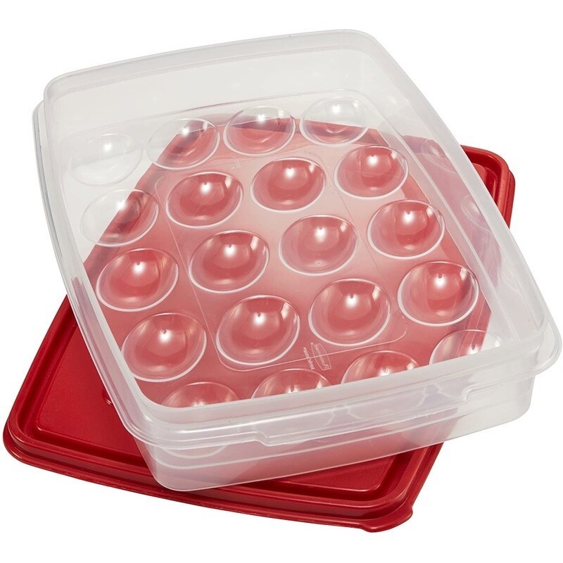Egg Keeper Container 20 Eggs Deviled Egg Storage Transport Picnic Safe New