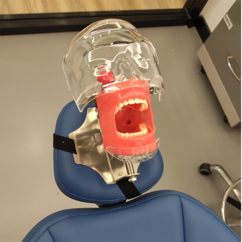 Dental Manikin Phantom Head Model Training Simulator Installed on Chair Headrest