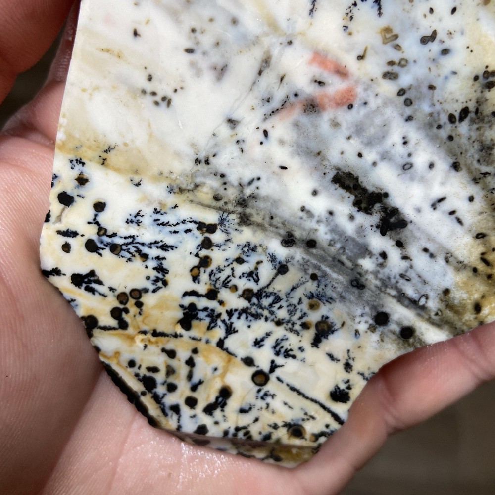Dendrite Opal Rough Slab Unique Patterns 4.46 Oz