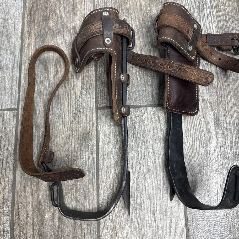 Buckingham Tree Climbing Spikes