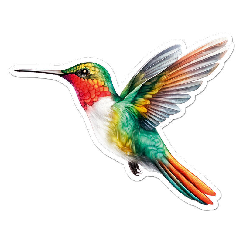 Hummingbird Sticker Decal