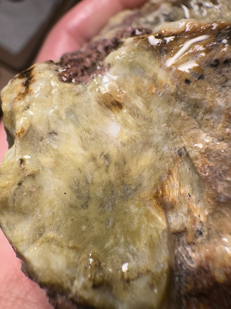 Sagenite Agate Rough Natural Gemstone 2lbs 5.5 OZ