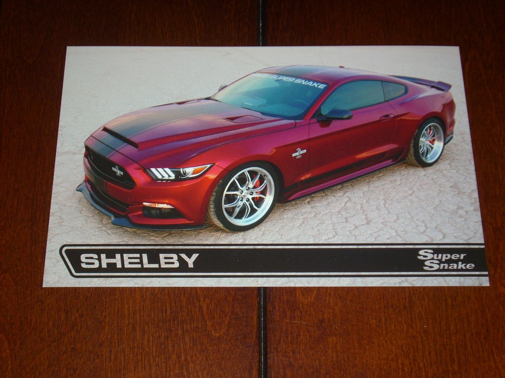 2015 - 2016 SHELBY SUPER SNAKE  ***DOUBLE SIDED SALES SHEET / BROCHURE***