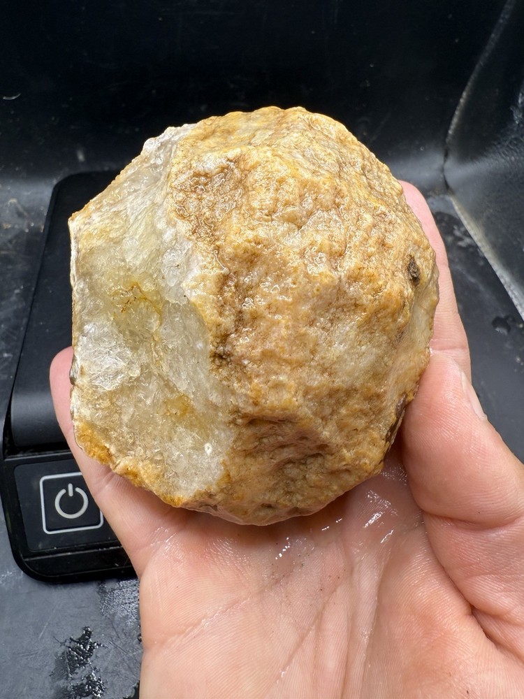 Fossilized Indiana Geode Crystal Agate Crinoid 3,330 Carats