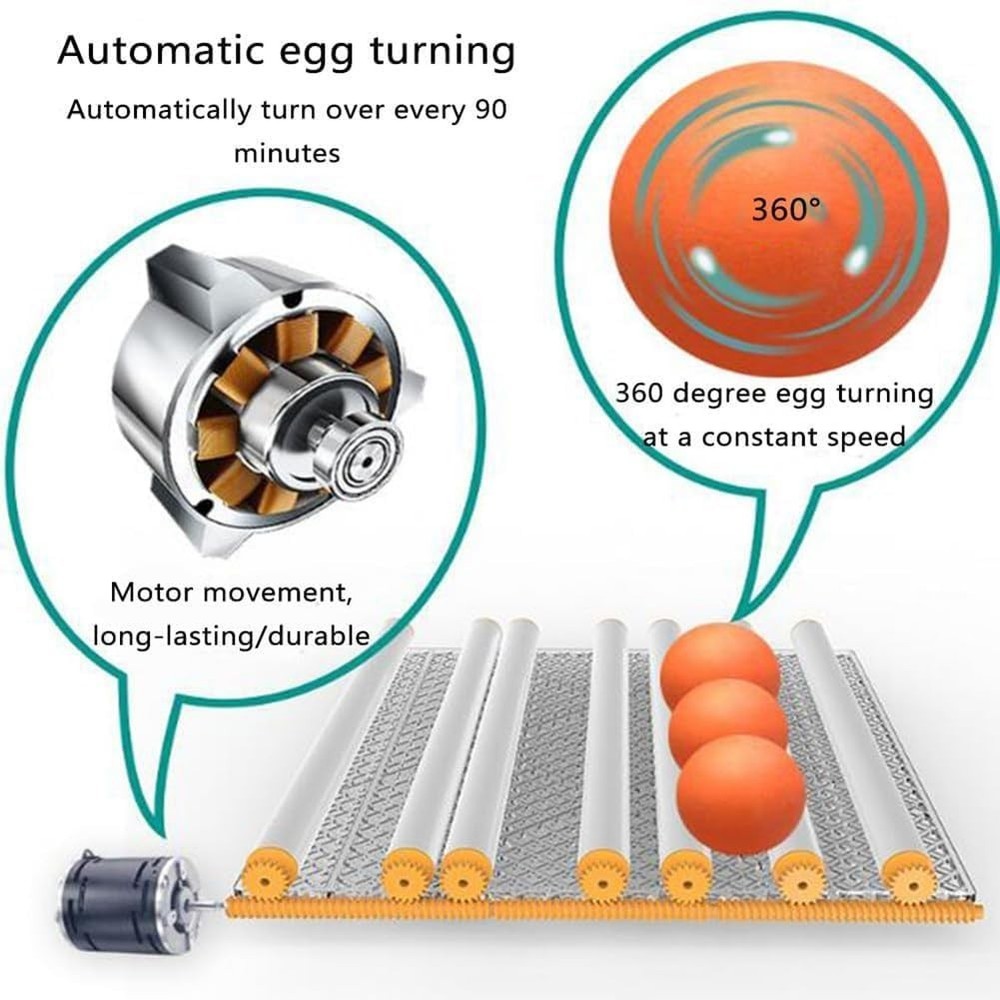 Incubators for Hatching Eggs 120, Chicken Egg Incubator with Automatic Egg Turni