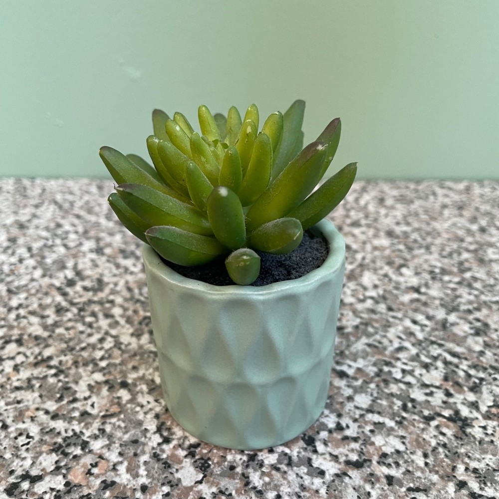 Small Ceramic Succulent Planter Pot Tiny Flower Plant Home Decor