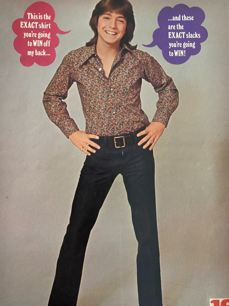 David Cassidy, Jackson Five, Michael, Double Full Page Vintage Pinup, aa