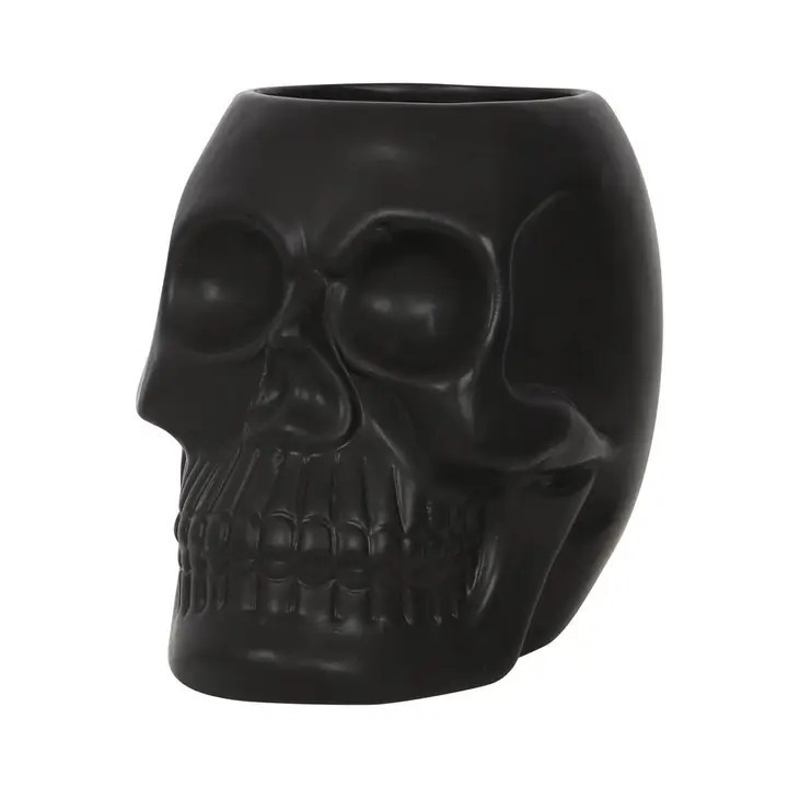 something different Black Skull Plant Pot Planter