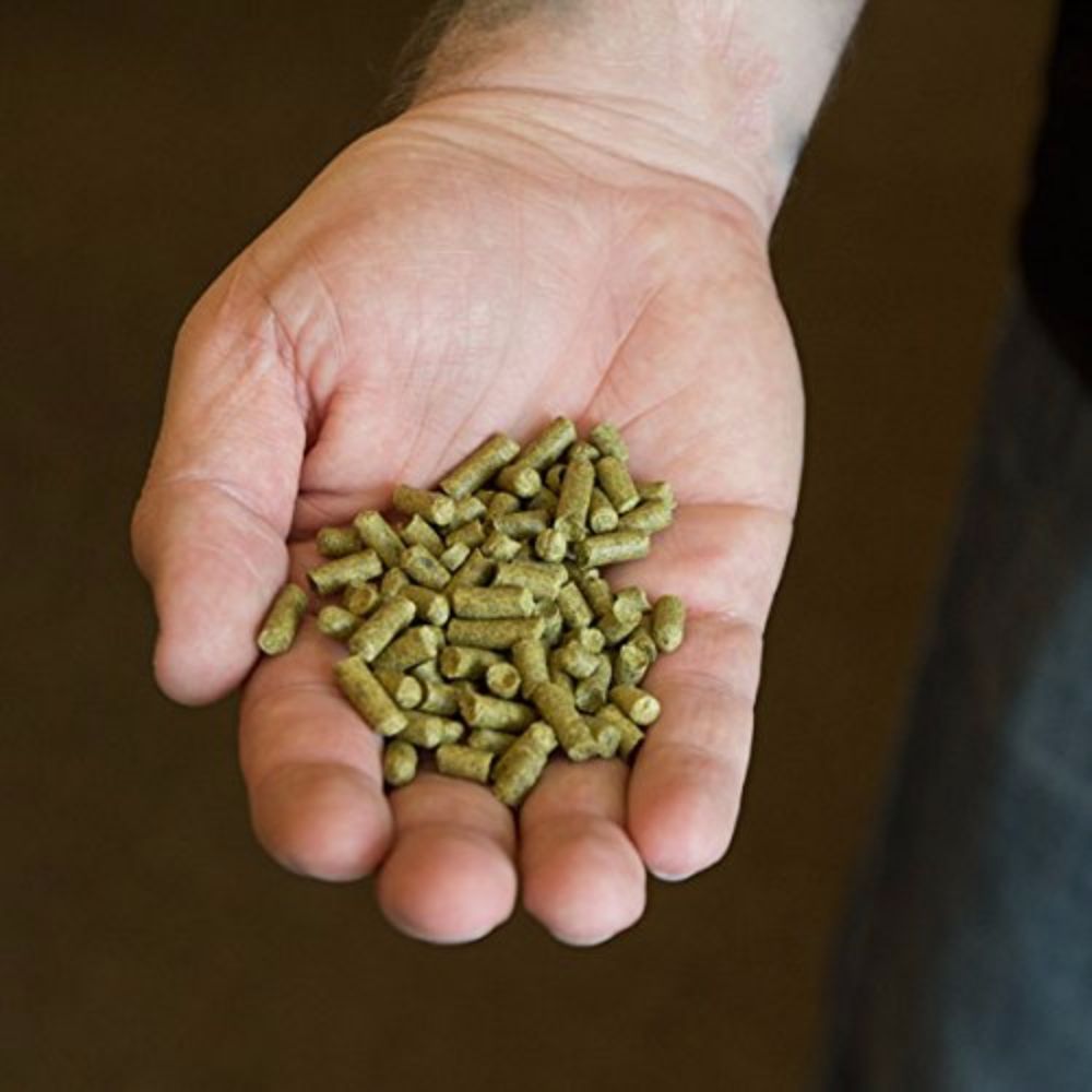 Nugget Hop Pellets 1 oz for Home Brew Beer Making