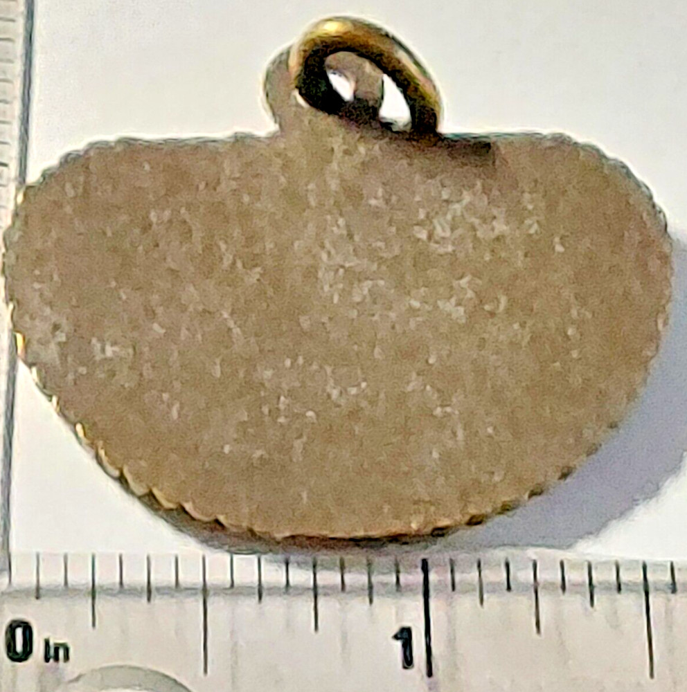 RALEIGH LIGHTS RODEO CHARM (060723)